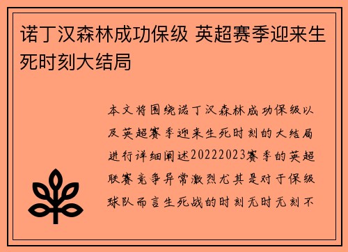 诺丁汉森林成功保级 英超赛季迎来生死时刻大结局